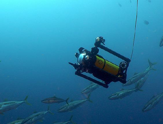 Survey Equipment Solutions | Boxfish Luna