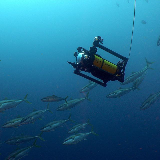 Boxfish Luna: Underwater Cinematography Drone