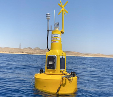 Marine Conservation & Ecosystem Protection