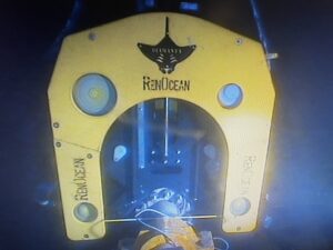 REN Diamond Wire Saw 30" in action underwater