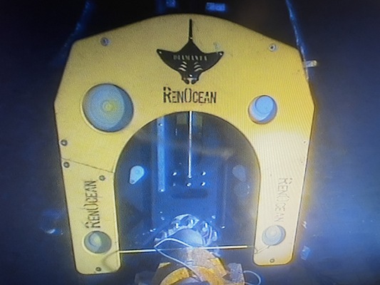 Ren Diamond Wire Saw 30”