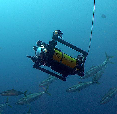 Boxfish Luna ROV available for Rental and Sale at Unique Group